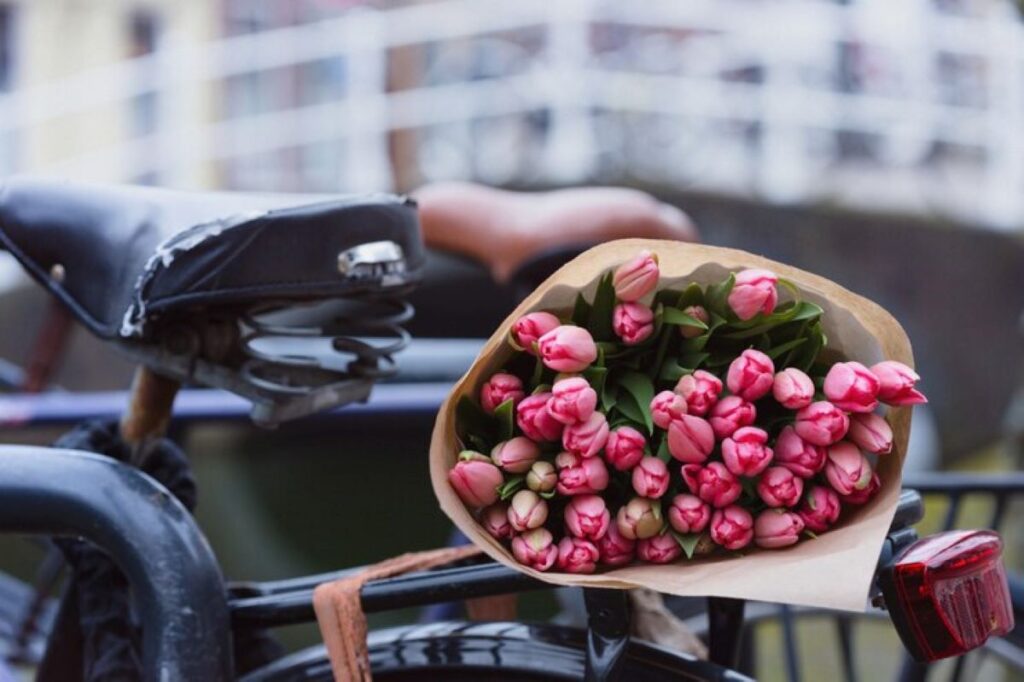 mcmahons point florist