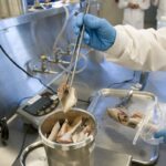 Food Safety and Quality Management Software