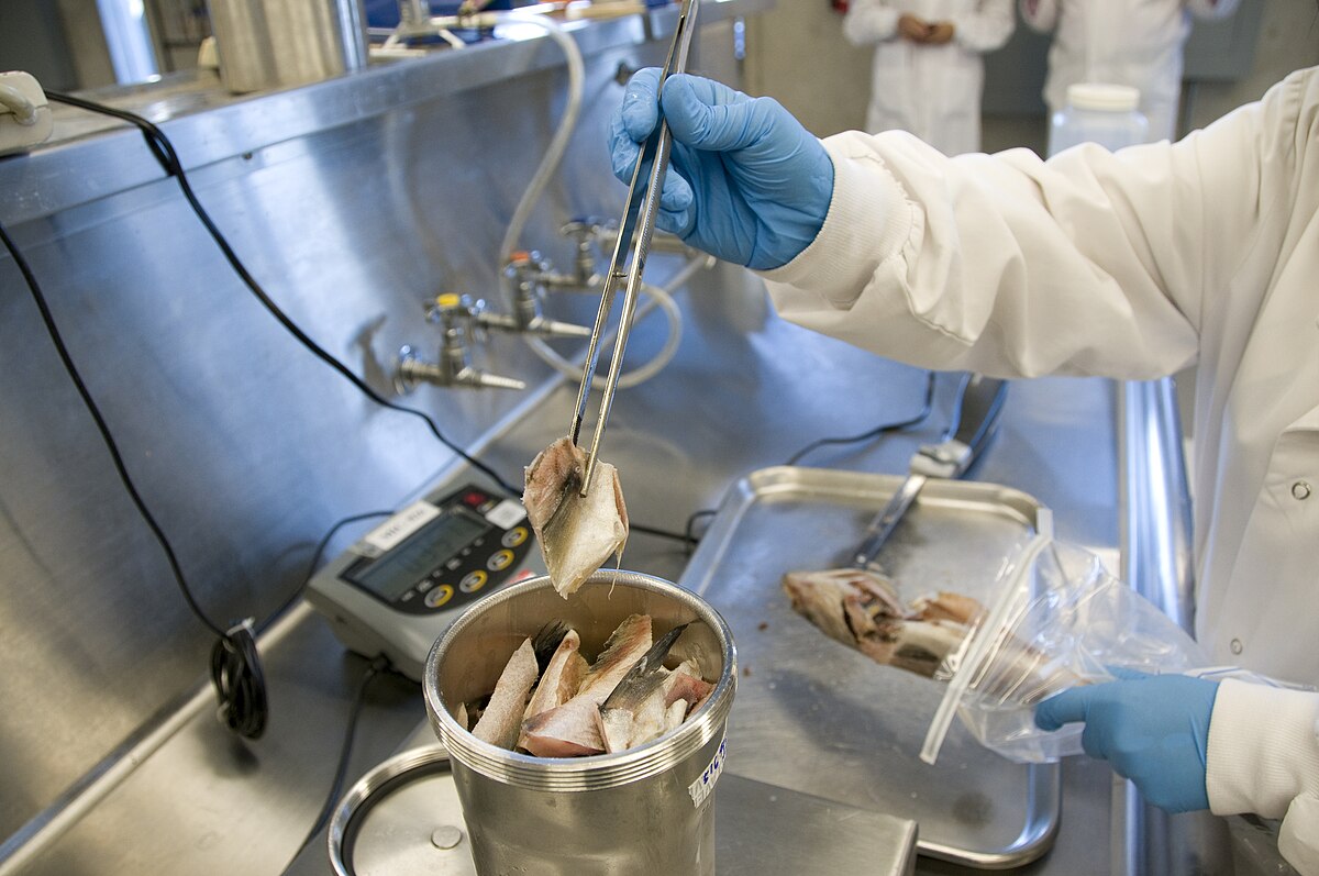 Food Safety and Quality Management Software