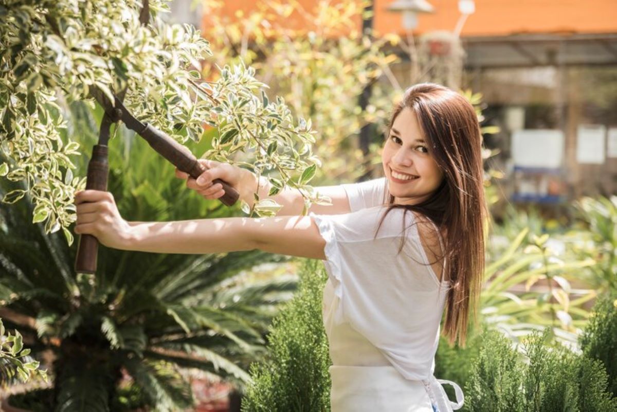 Tree Pruning