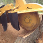 Stump Grinding Cost