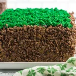 minecraft birthday cake